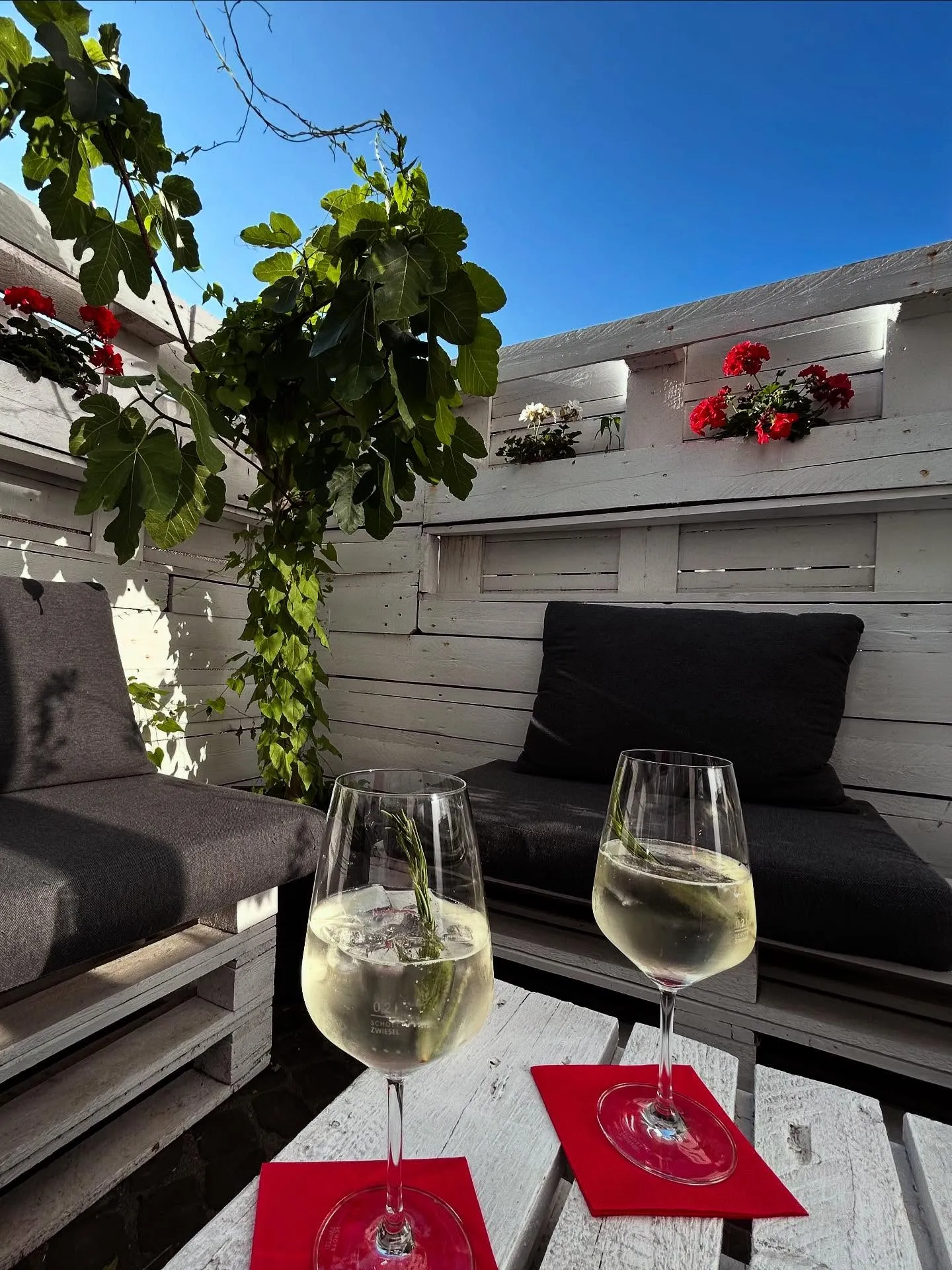Aperitivo auf der Sommerterrasse von Terra Mea